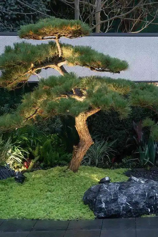 庭院花园—假山石