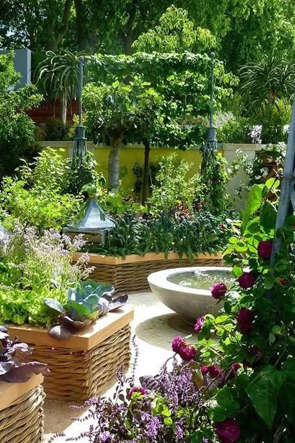 花园形式 菜地篇